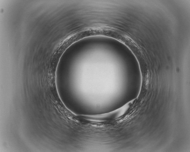 X0000086780822200704131212