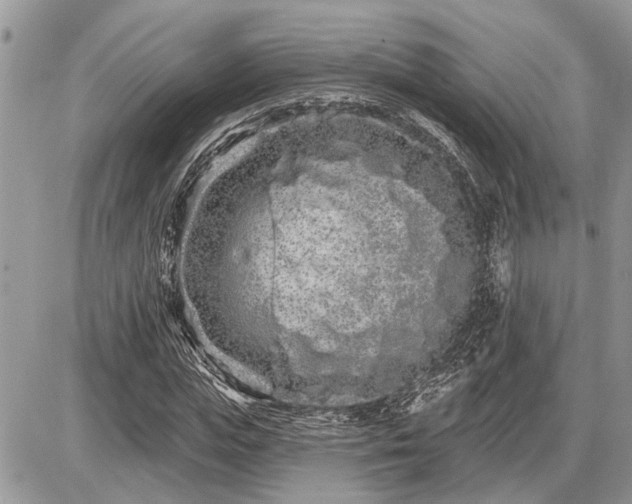 X0000086780823200704131212