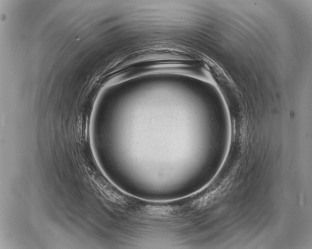 X0000086780825200704131212