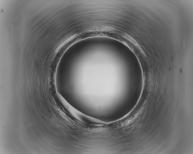 X0000086780826200704131212