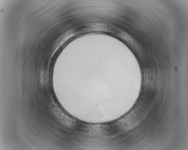 X0000086780828200704131212