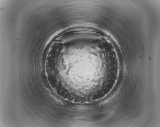 X0000086780829200704131212