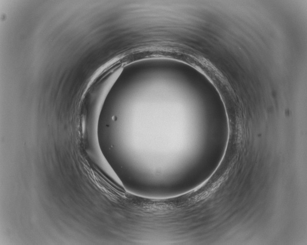 X0000086780830200704131212