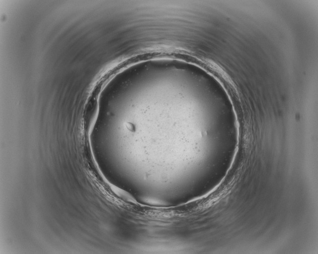 X0000086780831200704131212