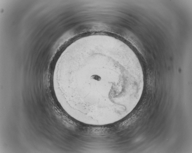 X0000086780832200704131212