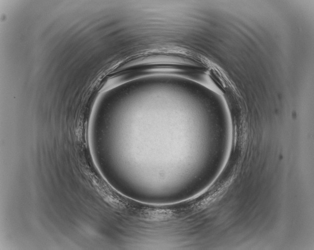 X0000086780833200704131212