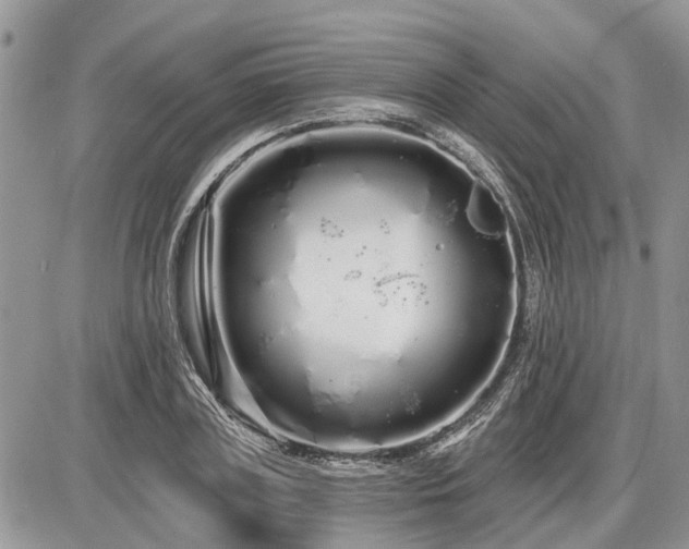 X0000086780835200704131212