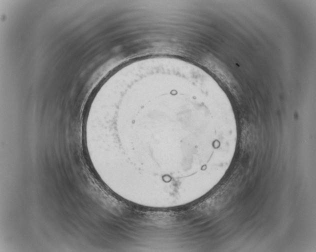 X0000086780836200704131212