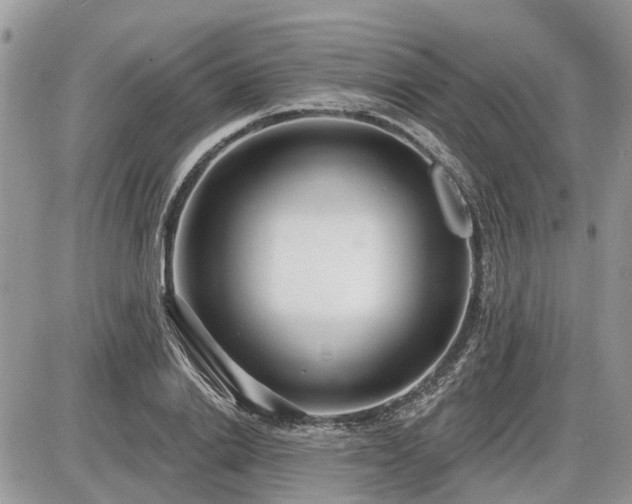 X0000086780838200704131212