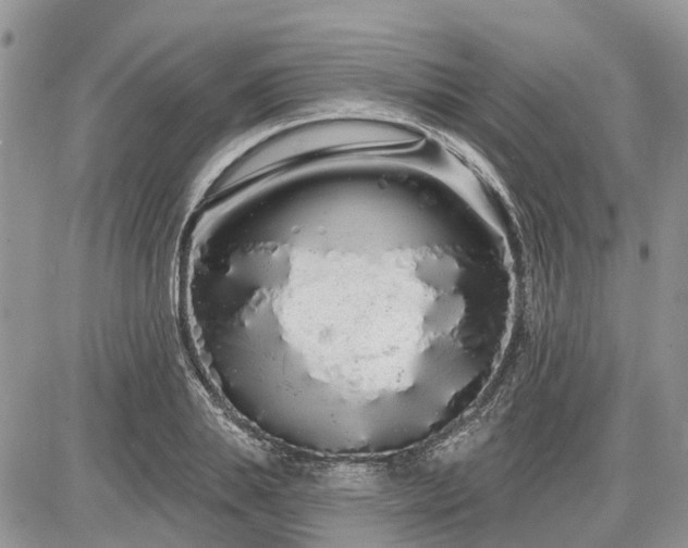 X0000086780839200704131212