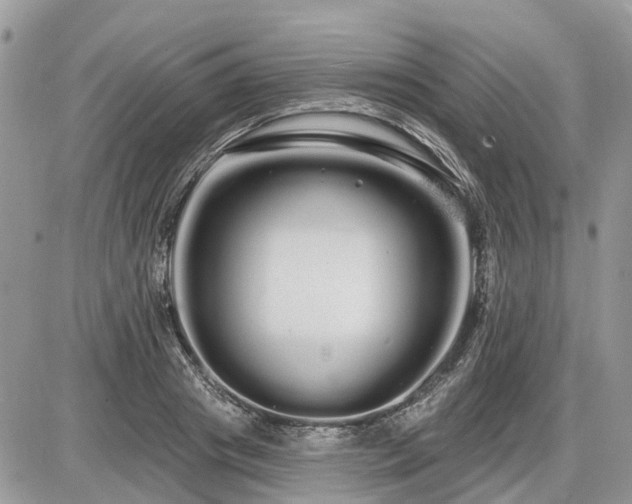 X0000086780841200704131212