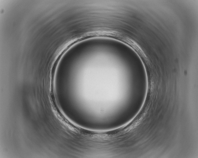 X0000086780844200704131212