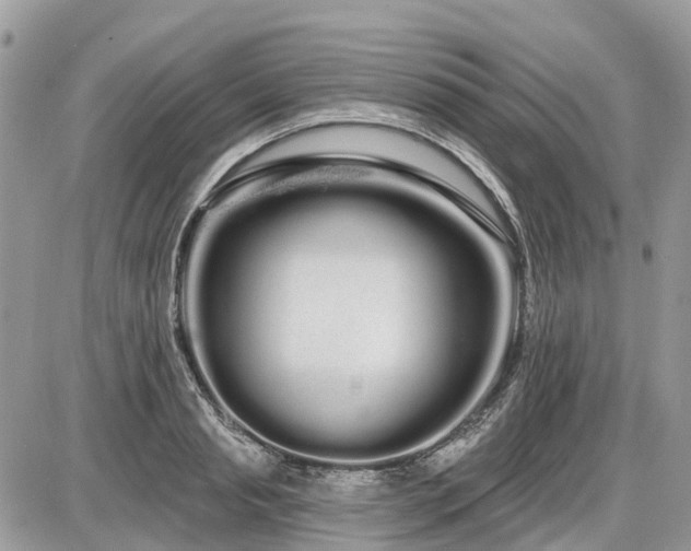 X0000086780845200704131212