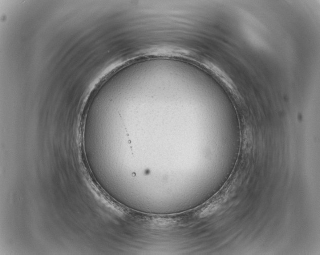 X0000086780848200704131212