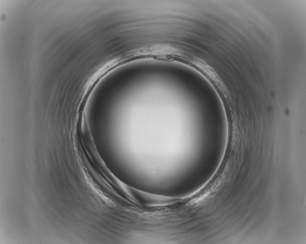 X0000086780850200704131212