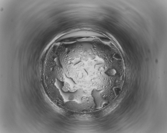 X0000086780851200704131212