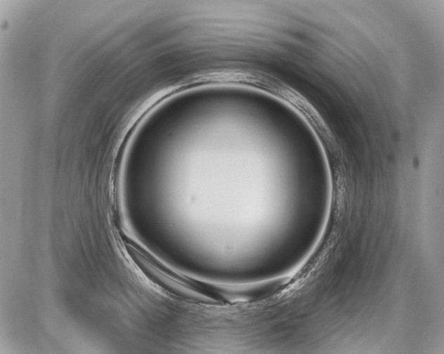 X0000086780852200704131212