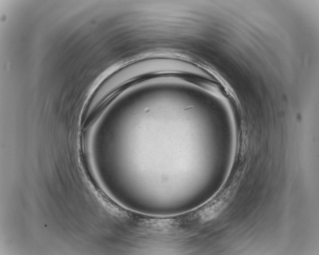 X0000086780853200704131212