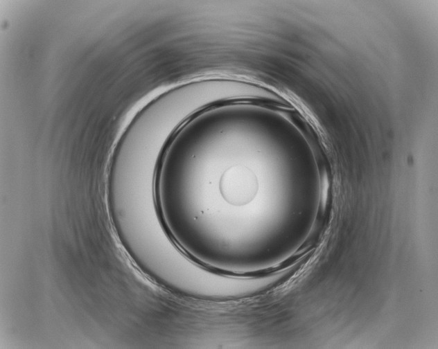 X0000086780854200704131212