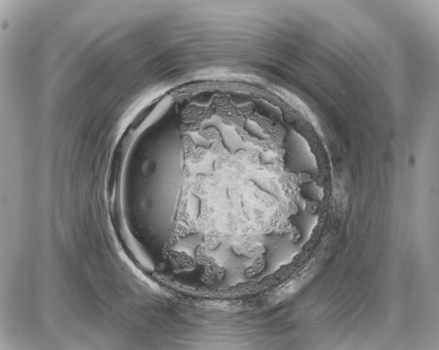 X0000086780855200704131212