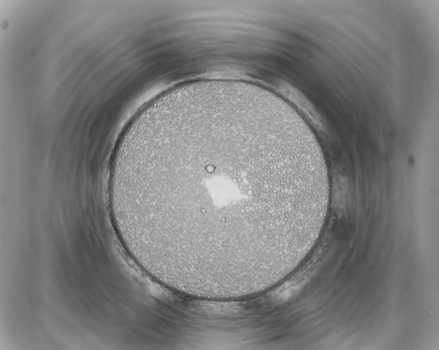 X0000086780856200704131212