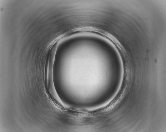 X0000086780857200704131212