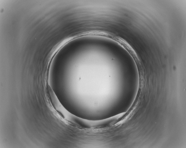 X0000086780860200704131212