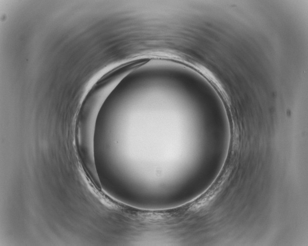 X0000086780862200704131212