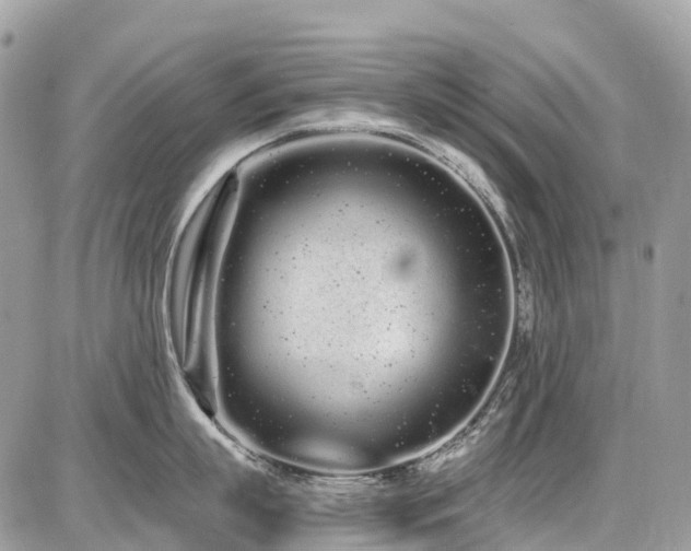 X0000086780863200704131212