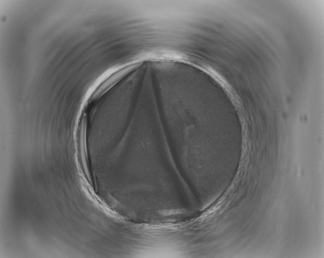 X0000086780864200704131213