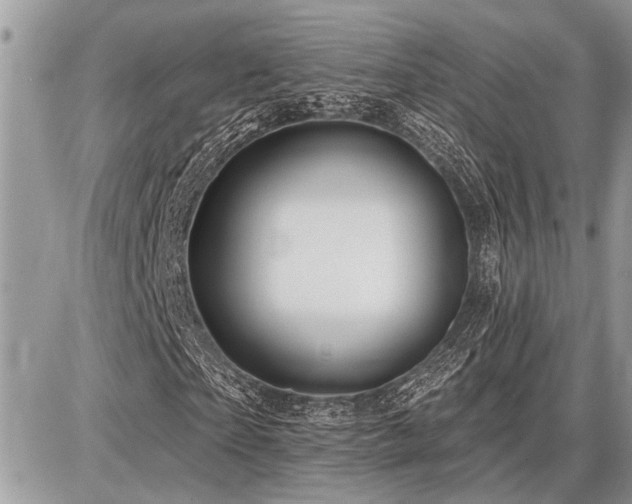 X0000086780865200704131212