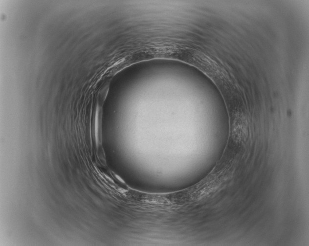 X0000086780866200704131212