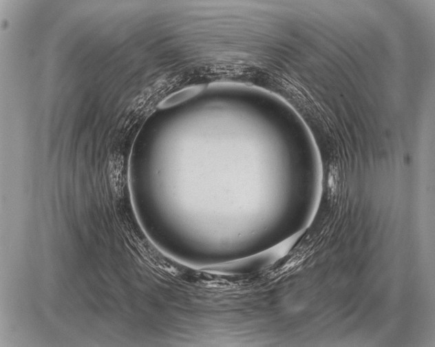 X0000086780867200704131212