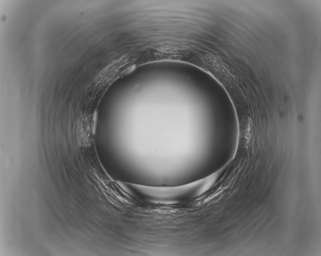 X0000086780868200704131212