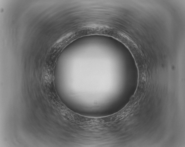 X0000086780869200704131212