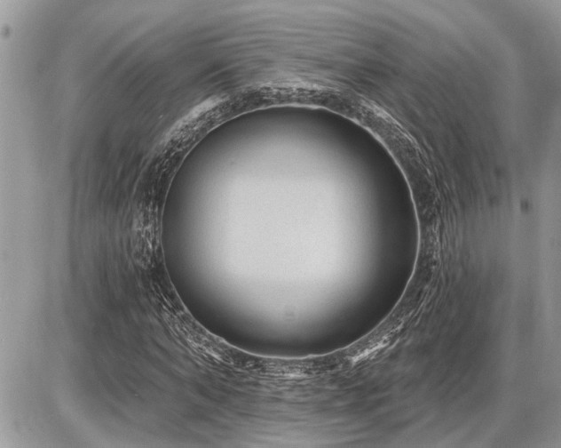 X0000086780870200704131212