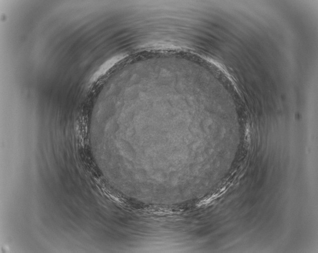 X0000086780871200704131212