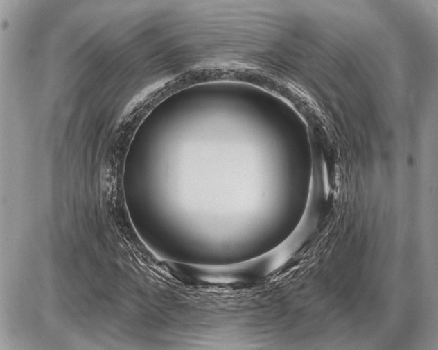 X0000086780872200704131212