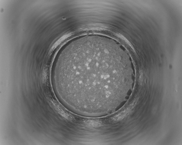 X0000086780874200704131212