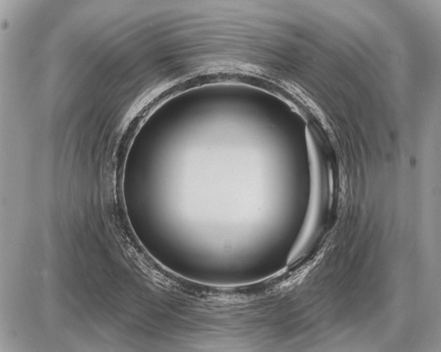 X0000086780877200704131212