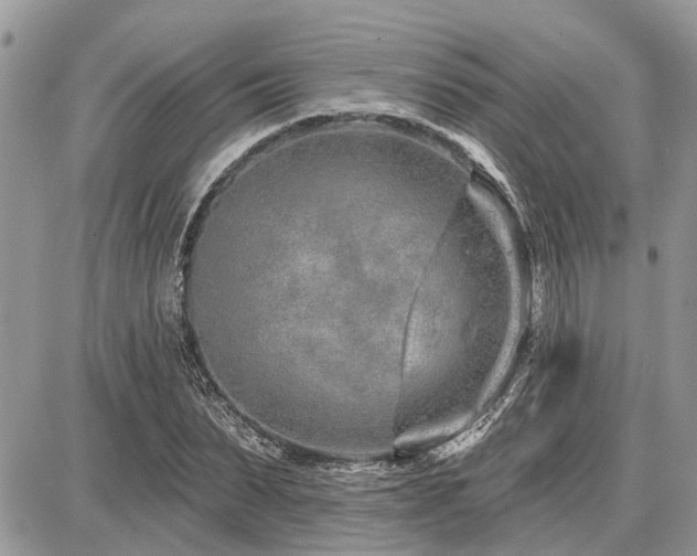 X0000086780879200704131211