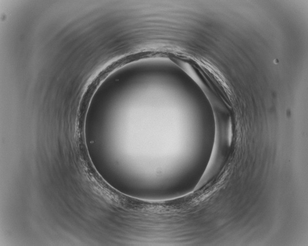 X0000086780880200704131211