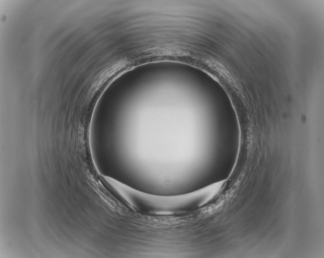 X0000086780881200704131211