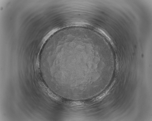 X0000086780883200704131211