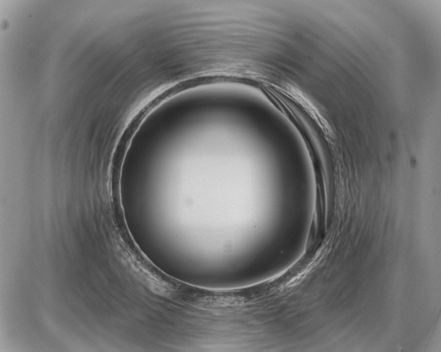 X0000086780884200704131211