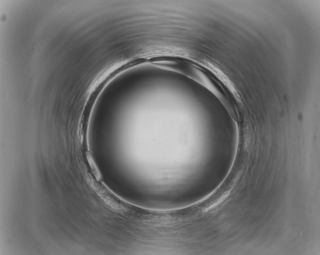 X0000086780885200704131211