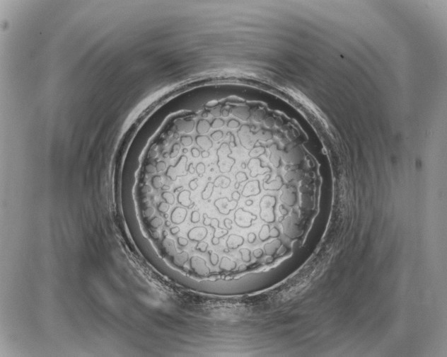 X0000086780886200704131211