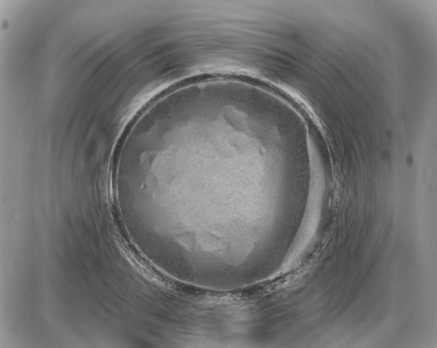 X0000086780887200704131211