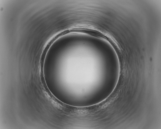 X0000086780888200704131211