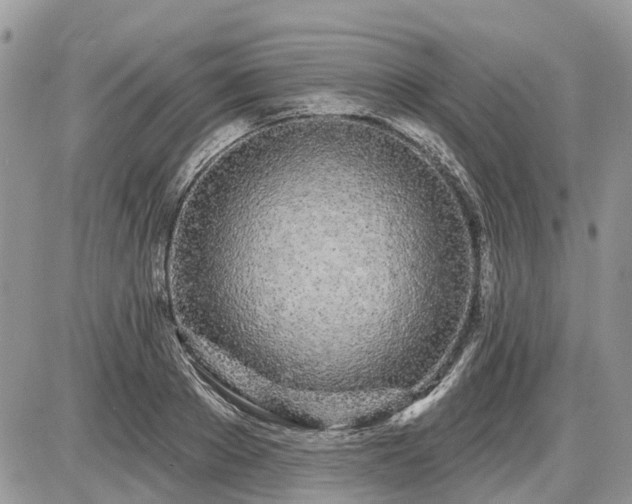 X0000086780889200704131211